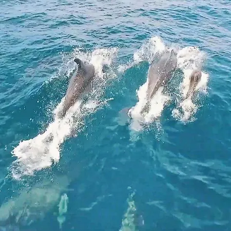 Marbella By Algarve Vacation Албуфейра